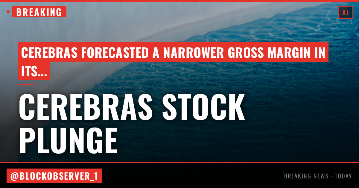 Cerebras stock plunges after earnings as CEO says margin outlook was misunderstood