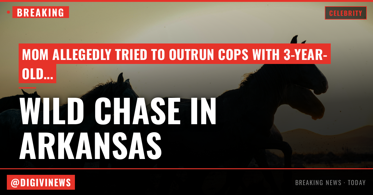 Watch Arkansas Mom's Wild Police Chase With Child Inside, on Dashcam Video