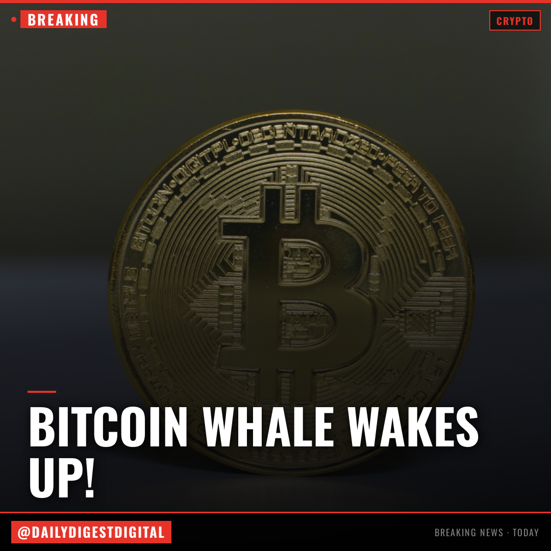 A bitcoin whale that went silent in 2013 moves $40 million in BTC