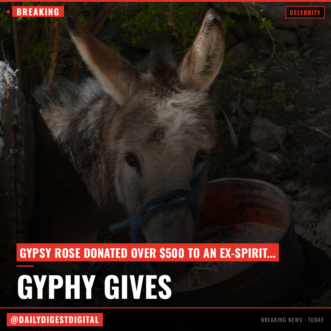 Gypsy Rose Blanchard Donates to Ex-Spirit Air Employee After James Charles Blowup