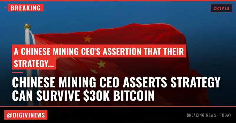 Chinese mining CEO says Strategy can survive a $30,000 bitcoin without selling