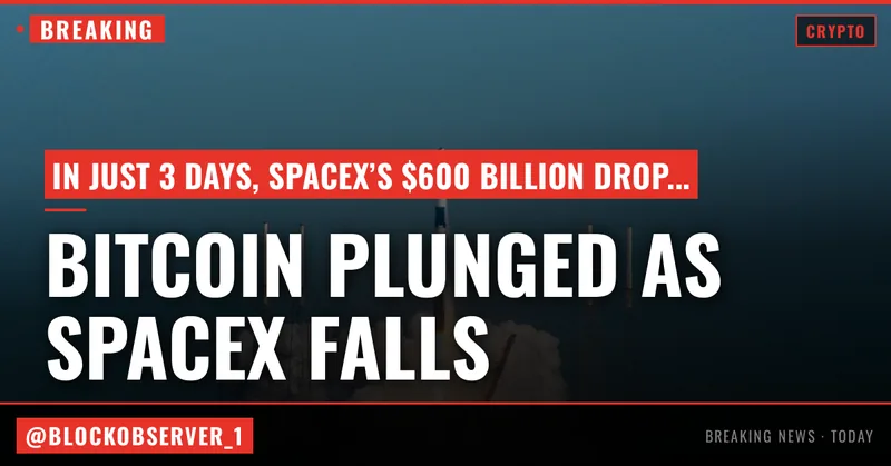 SpaceX’s $600 billion plunge erased equivalent of nearly half of bitcoin’s market cap in 3 days