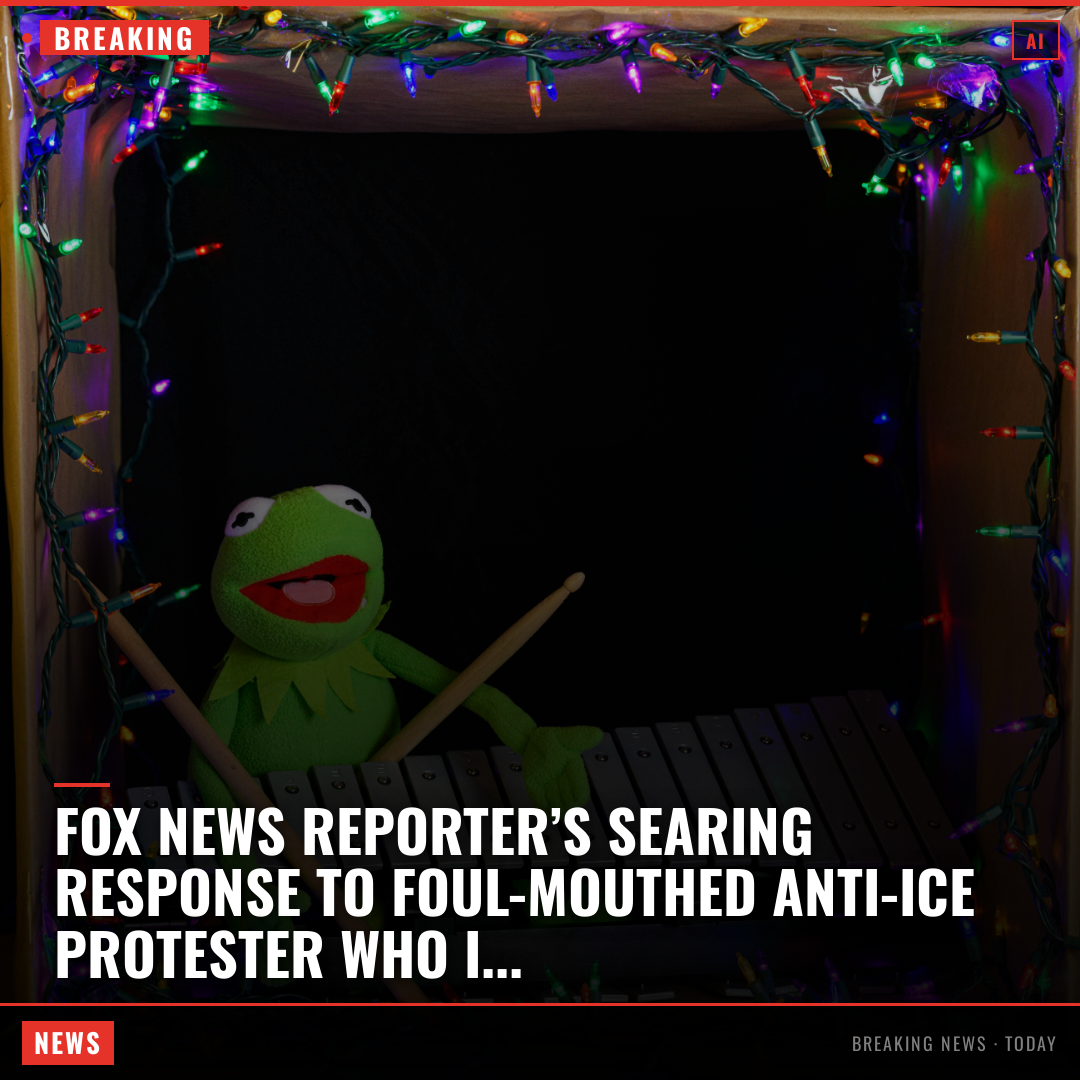 Fox News reporter’s searing response to foul-mouthed anti-ICE protester who interrupts live shot A senior Fox News reporter swiftly shut down an anti-